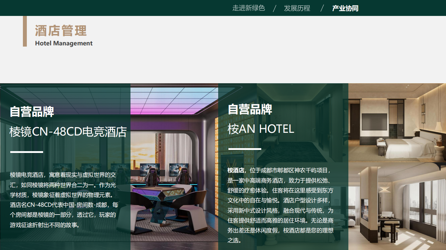新绿色置业简介-官网_18(2).png