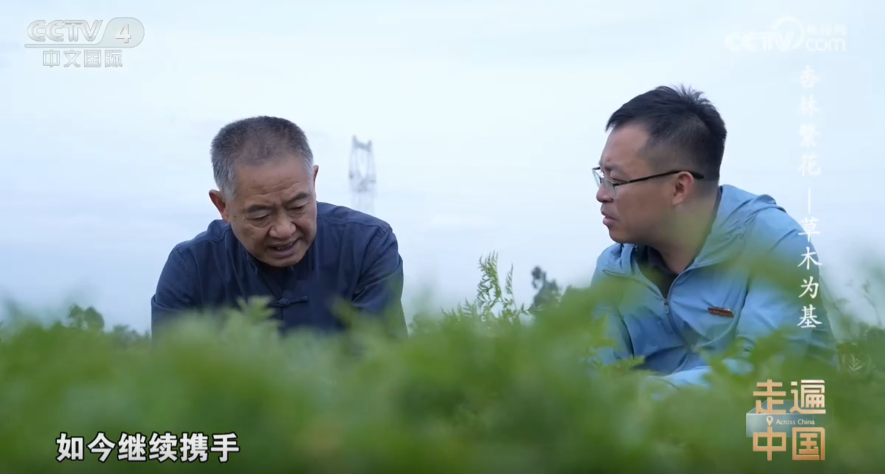 央视《走遍中国》聚焦川药传承  新绿色集团胡昌江教授再度展现非遗炮制技艺